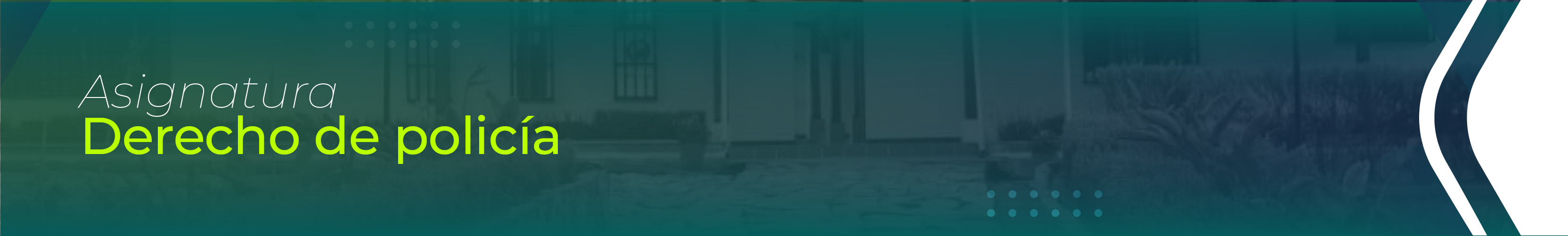 Banner derecho de policía ST