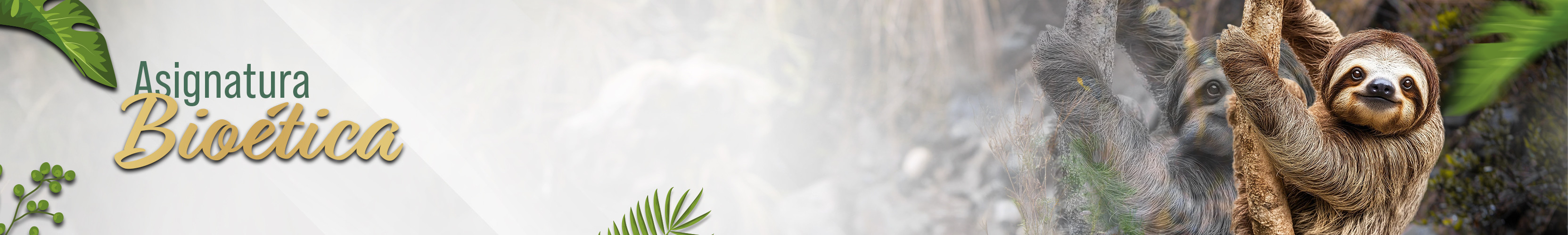 Banner ESGAM Bioética