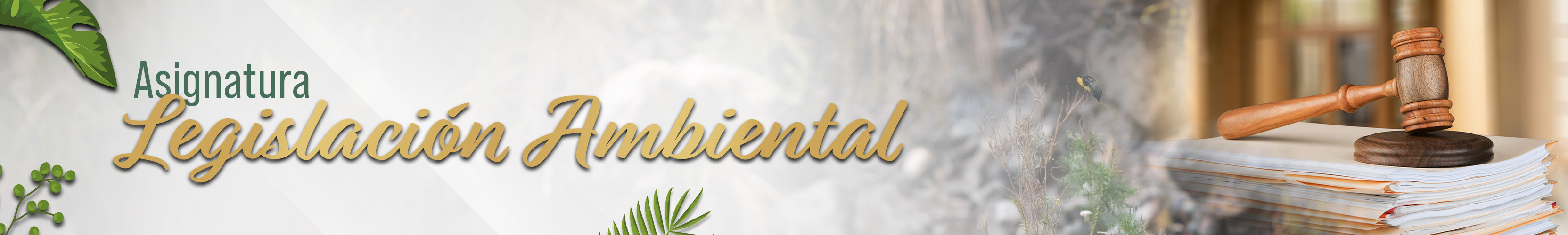 Banner Legislación ambiental ESGAM