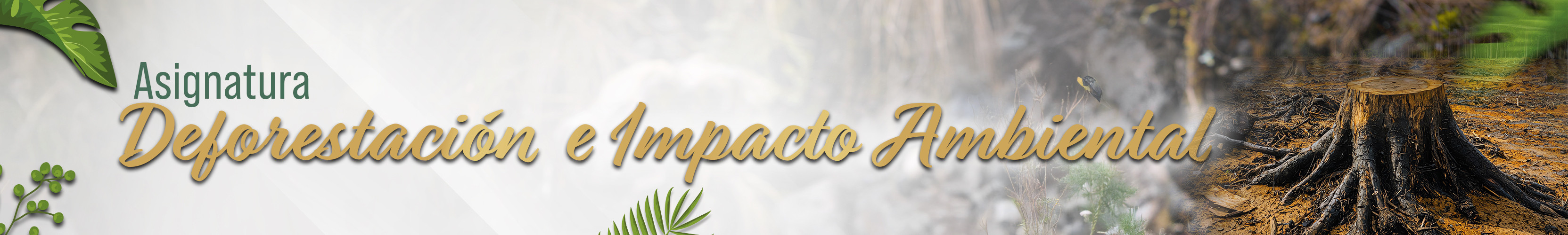 Banner Deforestación e impacto ambiental ESGAM