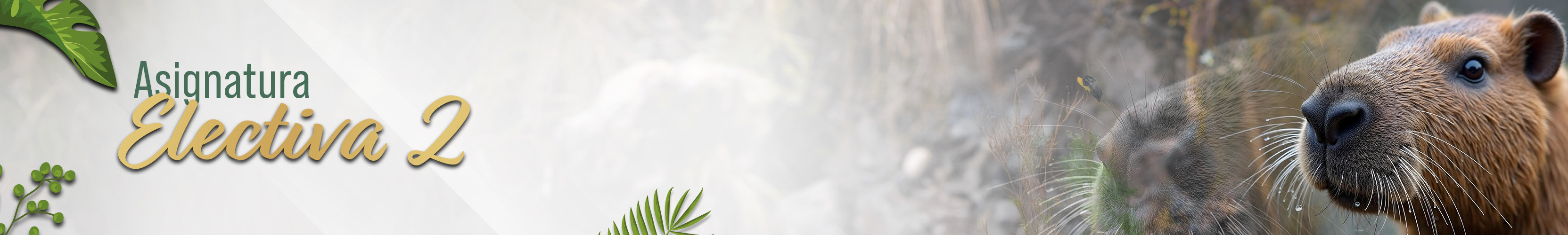 Banner Electiva II ESGAM