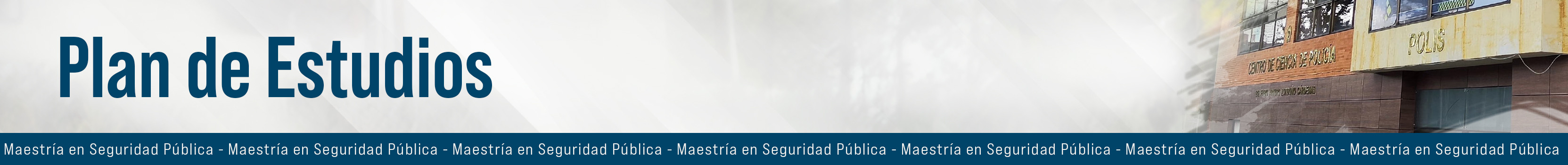 Bandera plan de estudios MASEP