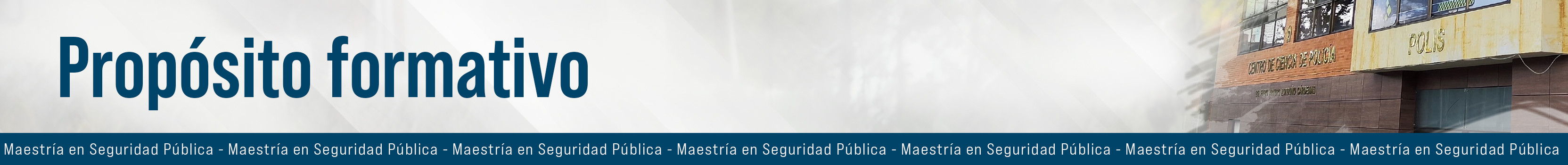Bandera propósito MASEP