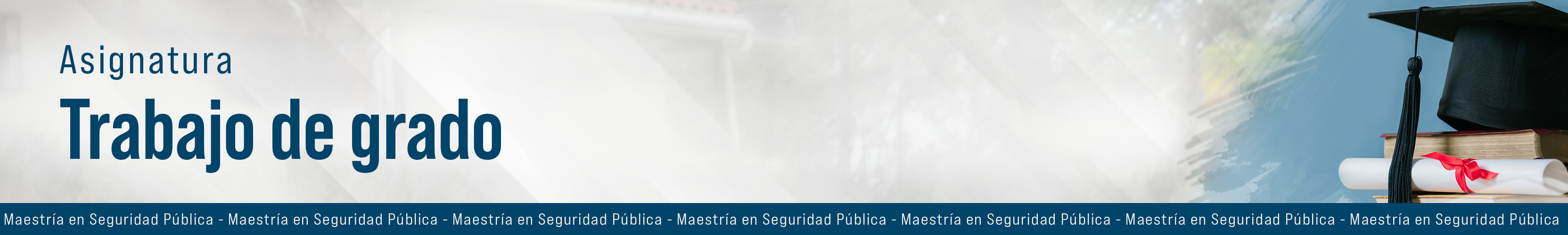 Banner MASEP trabajo de grado