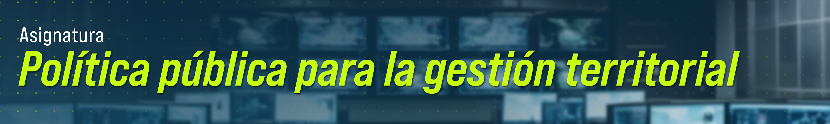 BANDERA PPGT