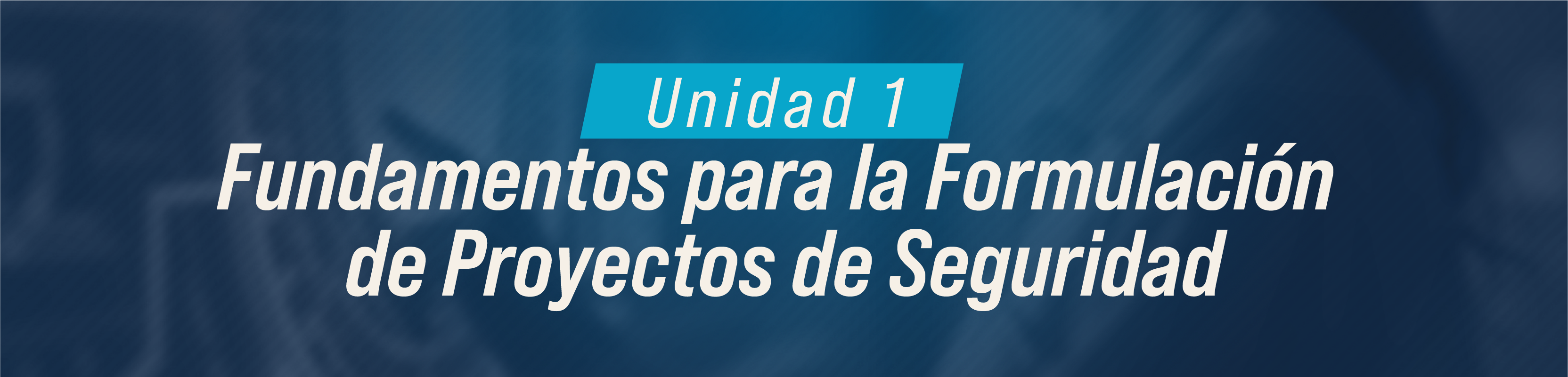 BANDERA FGPS